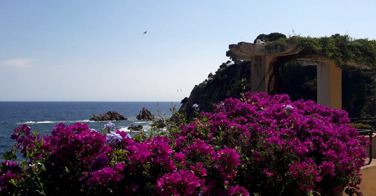 widok z ogrodu botanicznego w Blanes