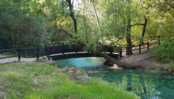 Parco Lavino
