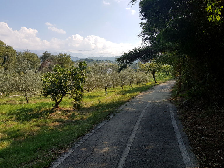 droga rowerowa do Parco Lavino